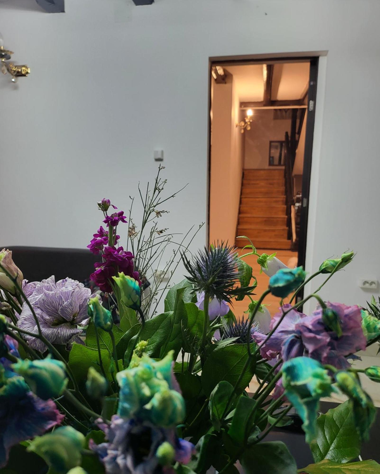 Adac Boutique Hotel Pantelimon Εξωτερικό φωτογραφία