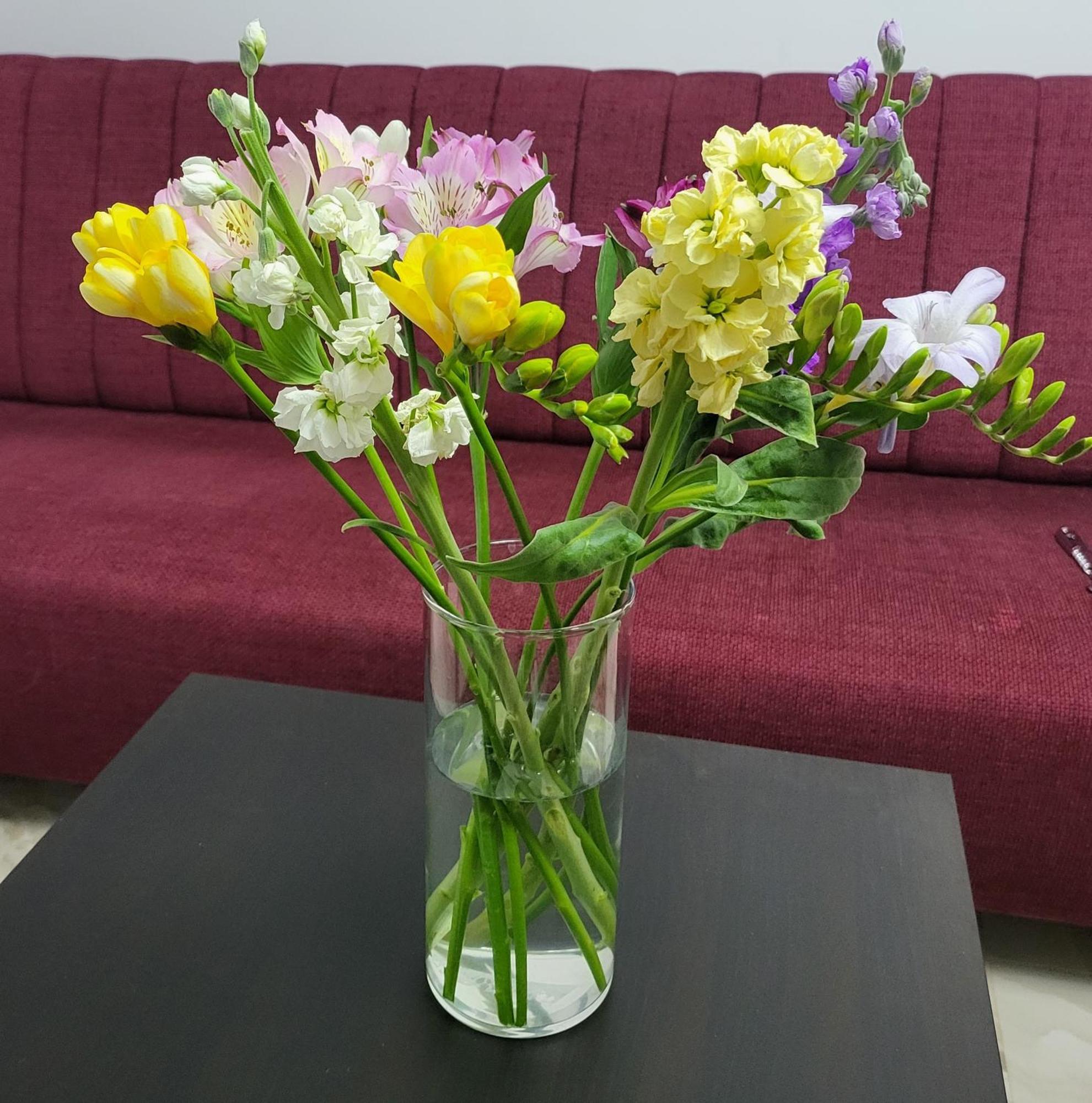 Adac Boutique Hotel Pantelimon Εξωτερικό φωτογραφία