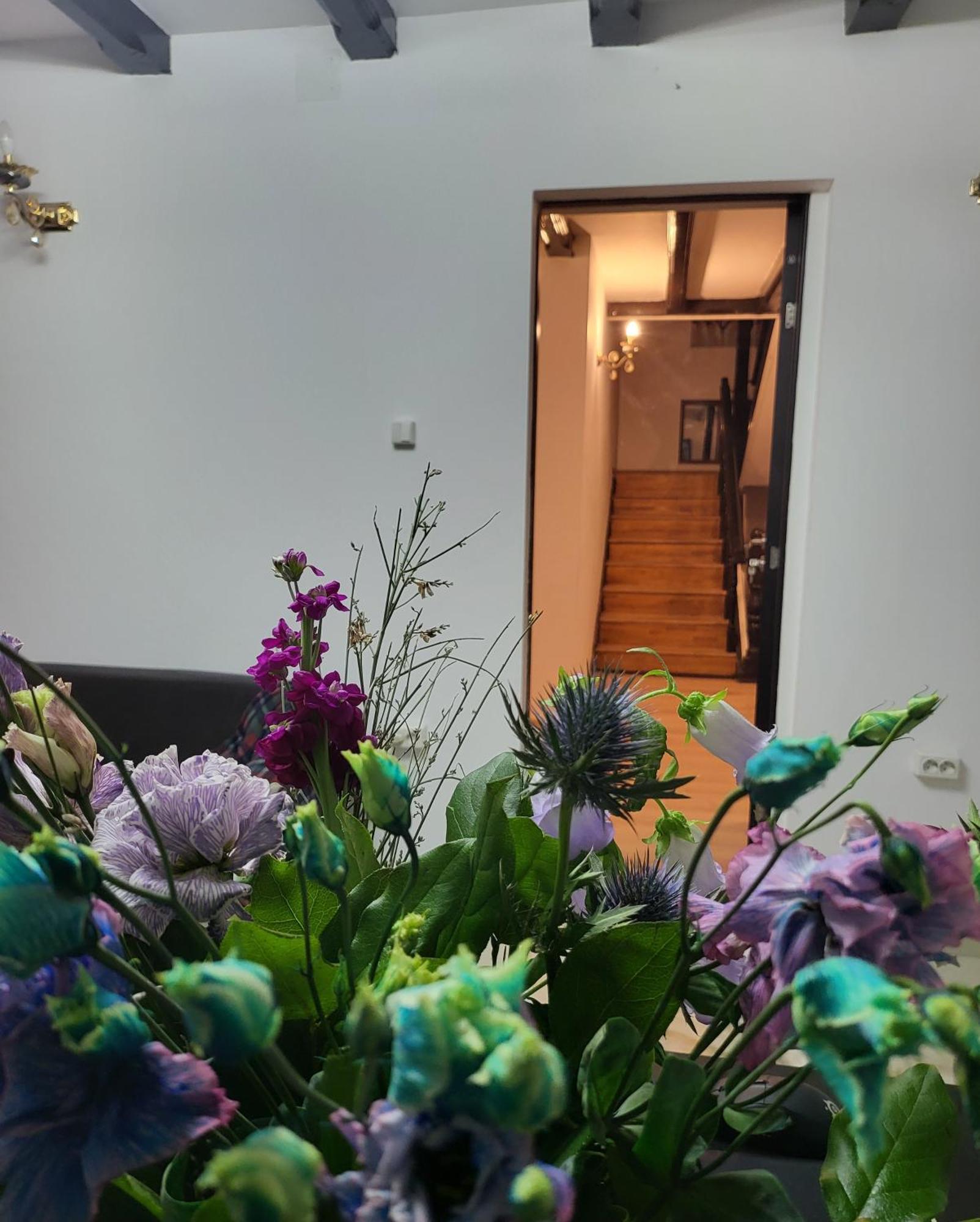 Adac Boutique Hotel Pantelimon Εξωτερικό φωτογραφία
